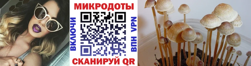 Псилоцибиновые грибы мухоморы  Купить  Нижняя Тура 